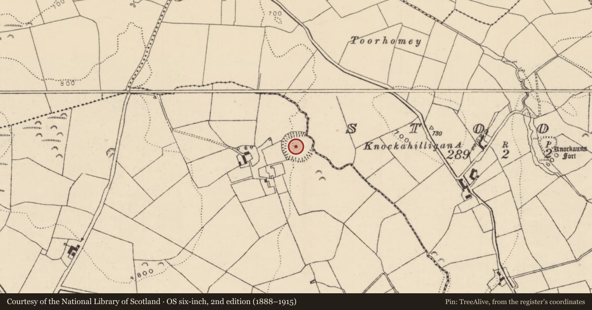 Ordnance Survey six-inch map, 2nd edition (1888–1915) covering the location of Ringfort - rath, Ballinlough (Aghnameadle Par.), Stook, County Tipperary North, with a pin at the register's coordinates