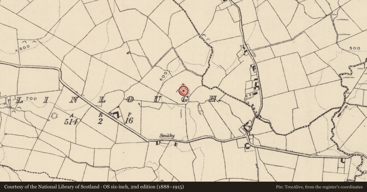 Ordnance Survey six-inch map, 2nd edition (1888–1915) covering the location of Moated site, Ballinlough (Aghnameadle Par.), County Tipperary North, with a pin at the register's coordinates