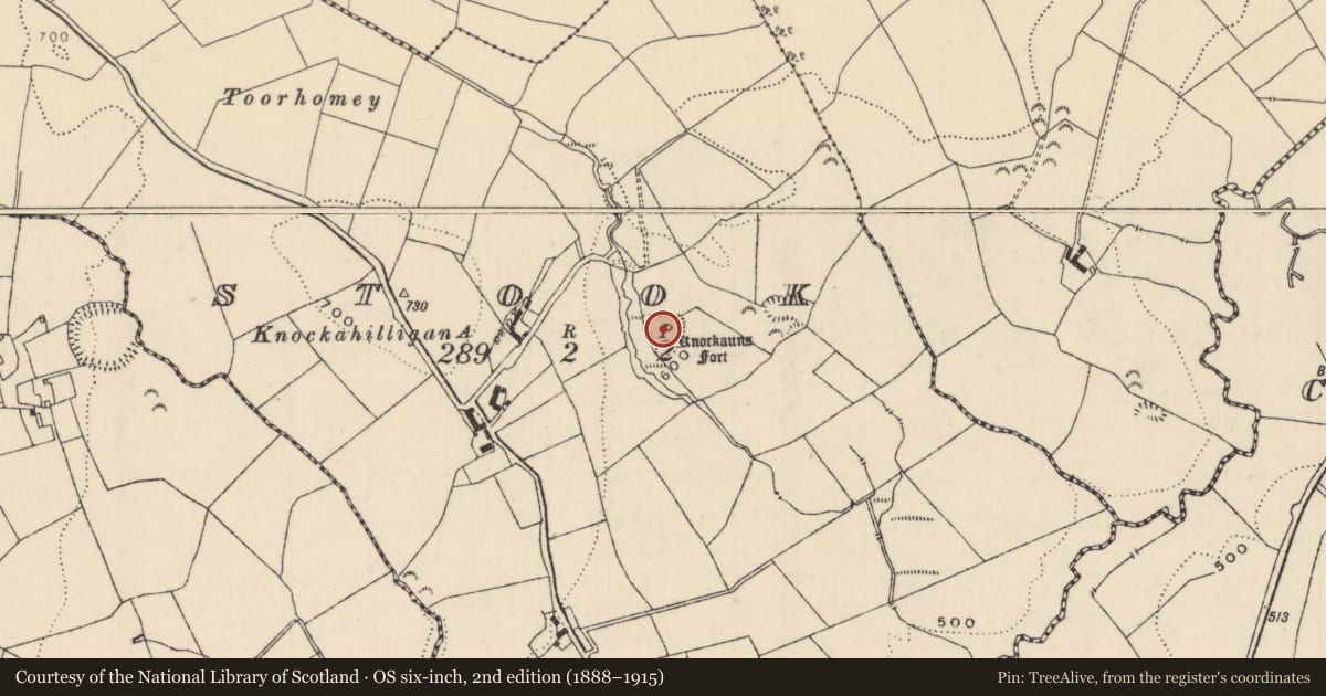 Ordnance Survey six-inch map, 2nd edition (1888–1915) covering the location of Castle - ringwork, Stook, County Tipperary North, with a pin at the register's coordinates