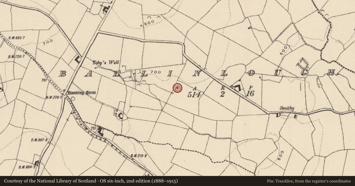 Ordnance Survey six-inch map, 2nd edition (1888–1915) covering the location of Ringfort - rath, Ballinlough (Aghnameadle Par.), County Tipperary North, with a pin at the register's coordinates