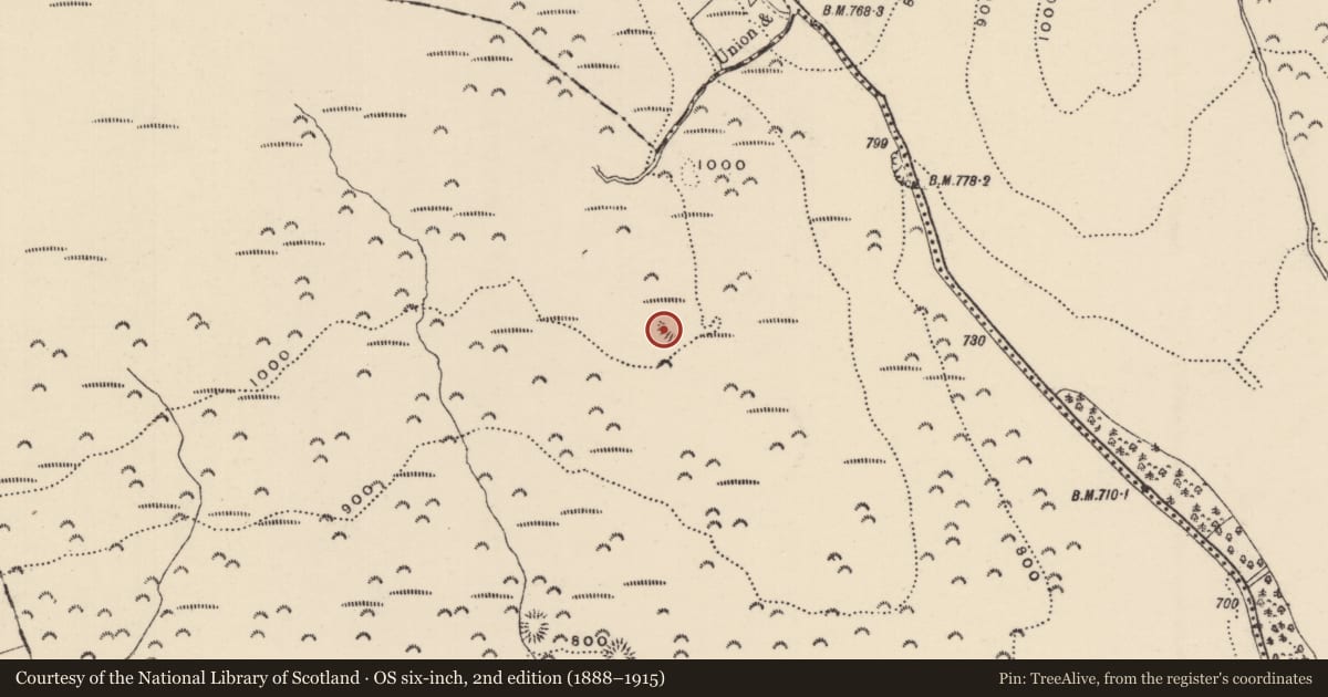 Ordnance Survey six-inch map, 2nd edition (1888–1915) covering the location of Earthwork, Killoskehan, County Tipperary North, with a pin at the register's coordinates