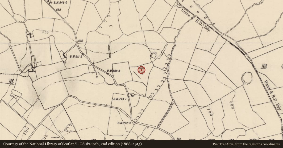 Ordnance Survey six-inch map, 2nd edition (1888–1915) covering the location of Enclosure, Ballinveny, County Tipperary North, with a pin at the register's coordinates