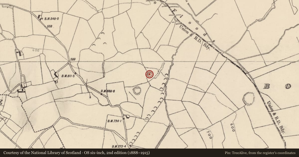 Ordnance Survey six-inch map, 2nd edition (1888–1915) covering the location of Enclosure, Ballinveny, County Tipperary North, with a pin at the register's coordinates
