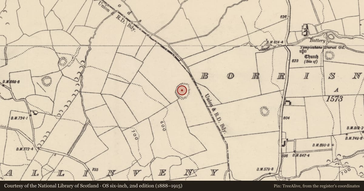 Ordnance Survey six-inch map, 2nd edition (1888–1915) covering the location of Ringfort - rath, Ballinveny, County Tipperary North, with a pin at the register's coordinates