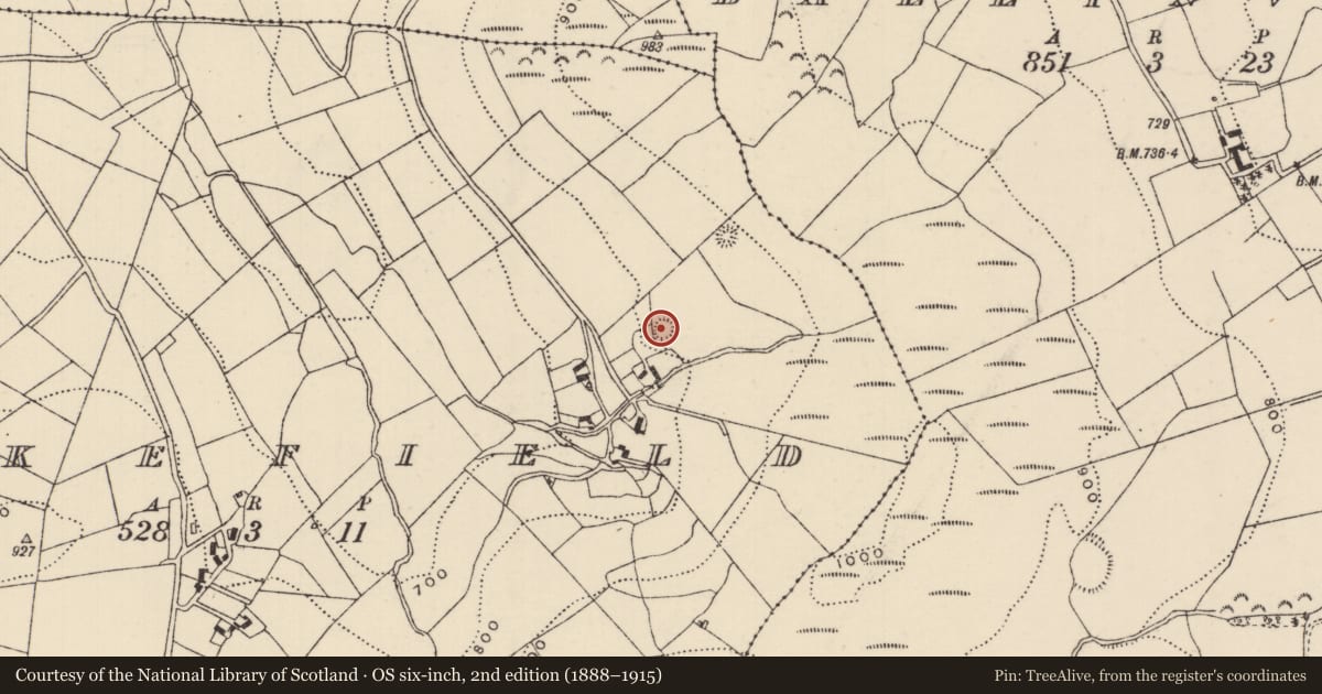 Ordnance Survey six-inch map, 2nd edition (1888–1915) covering the location of Ringfort - rath, Blakefield, County Tipperary North, with a pin at the register's coordinates