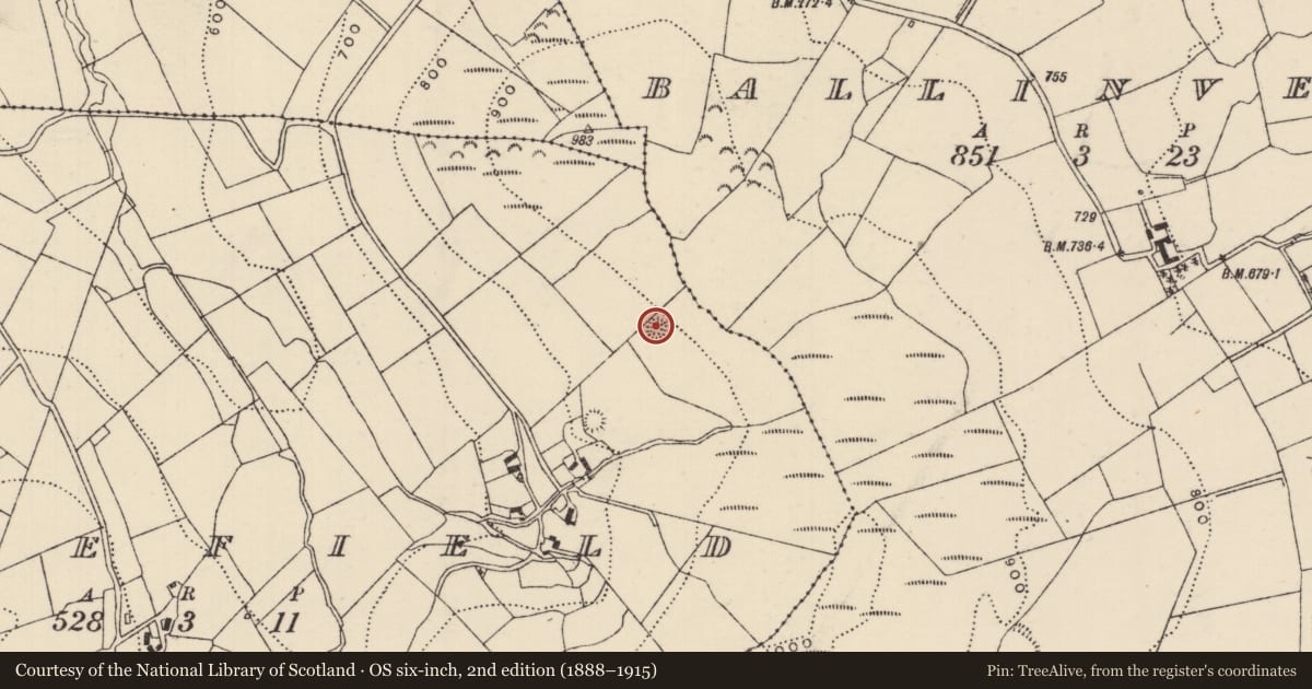 Ordnance Survey six-inch map, 2nd edition (1888–1915) covering the location of Ringfort - rath, Blakefield, County Tipperary North, with a pin at the register's coordinates