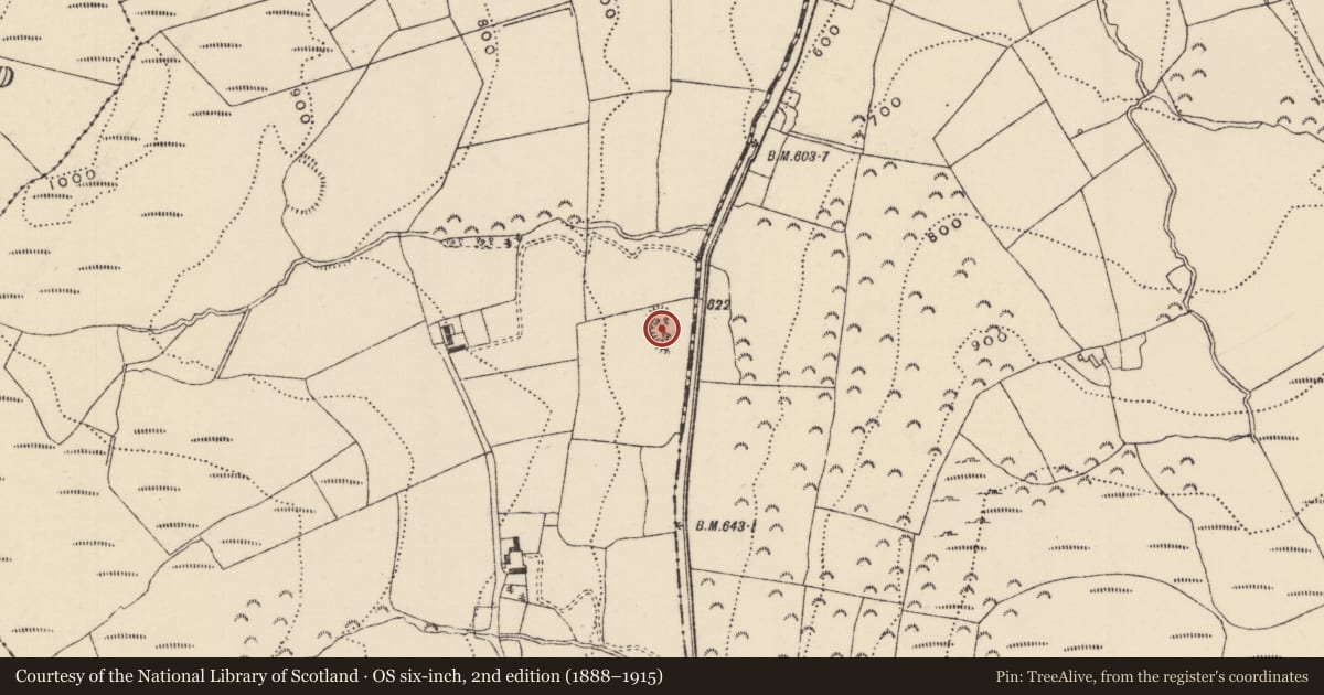 Ordnance Survey six-inch map, 2nd edition (1888–1915) covering the location of Ringfort - rath, Ballinveny, County Tipperary North, with a pin at the register's coordinates
