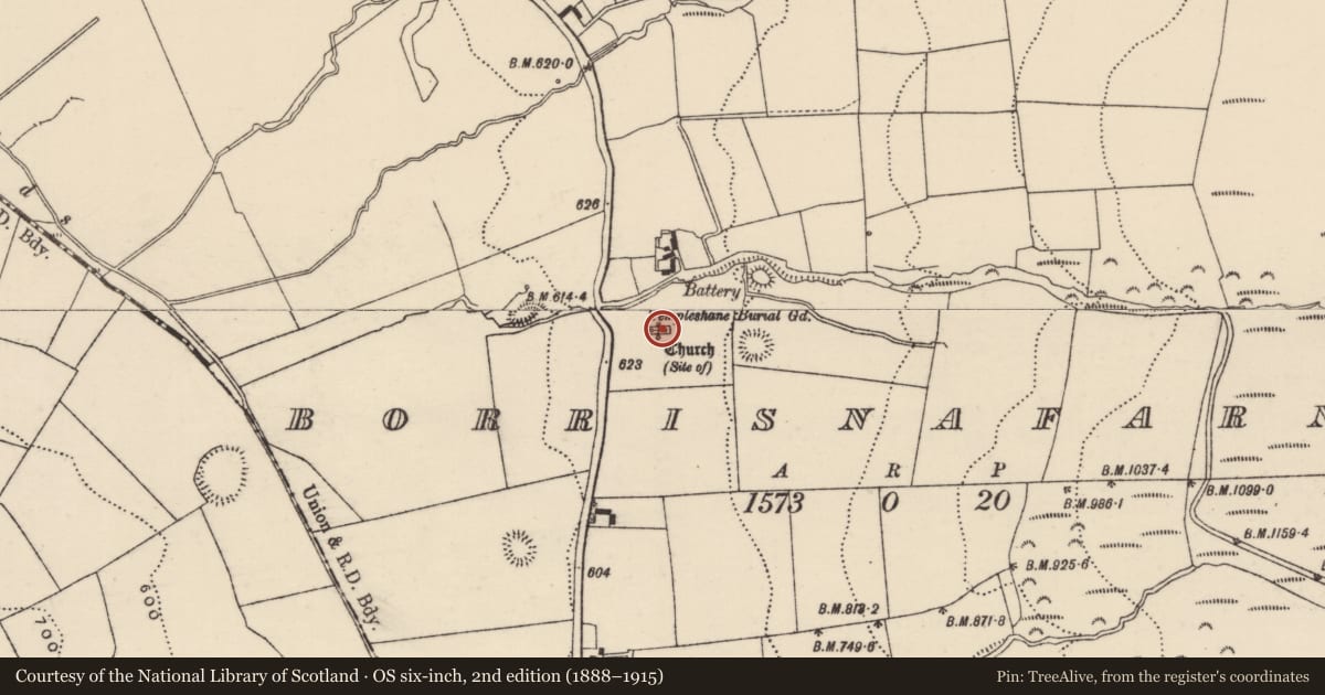 Ordnance Survey six-inch map, 2nd edition (1888–1915) covering the location of Church, Borrisnafarney, County Tipperary North, with a pin at the register's coordinates