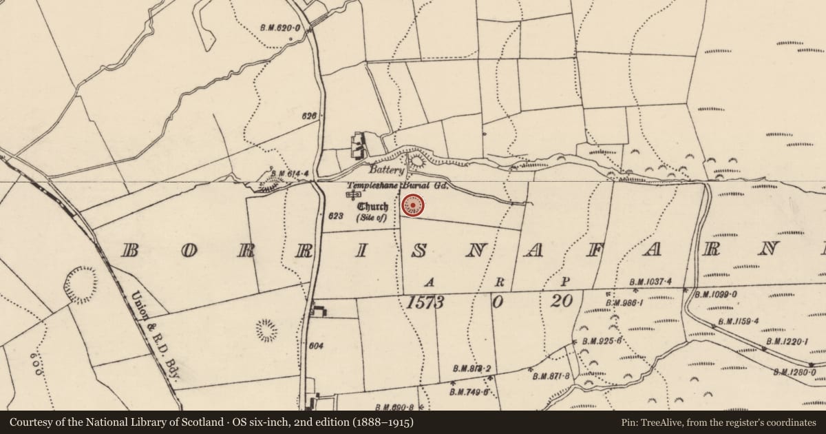 Ordnance Survey six-inch map, 2nd edition (1888–1915) covering the location of Ringfort - rath, Borrisnafarney, County Tipperary North, with a pin at the register's coordinates