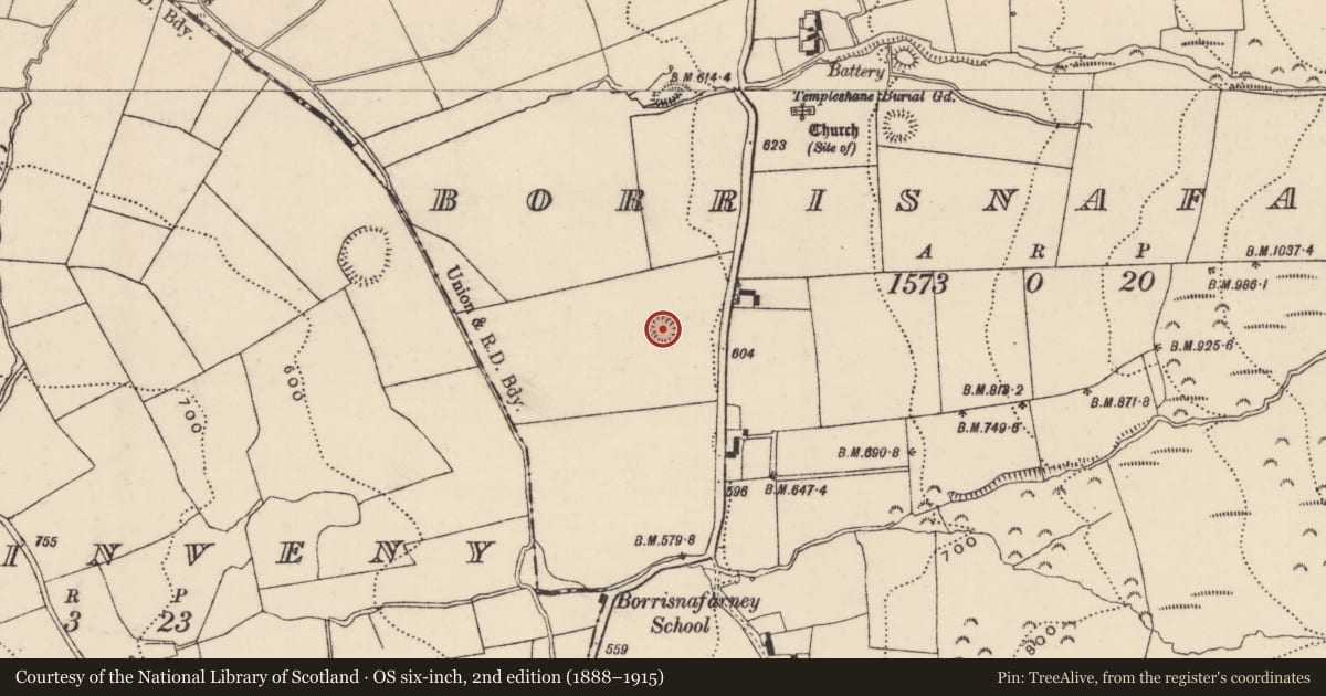 Ordnance Survey six-inch map, 2nd edition (1888–1915) covering the location of Ringfort - rath, Borrisnafarney, County Tipperary North, with a pin at the register's coordinates