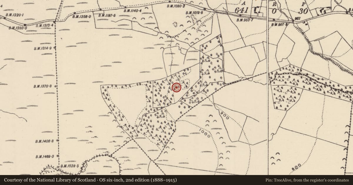 Ordnance Survey six-inch map, 2nd edition (1888–1915) covering the location of Enclosure, Kilduff, County Tipperary North, with a pin at the register's coordinates