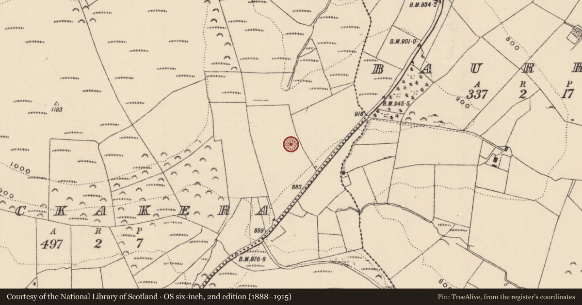 Ordnance Survey six-inch map, 2nd edition (1888–1915) covering the location of Barrow - ring-barrow, Lackakera, County Tipperary North, with a pin at the register's coordinates