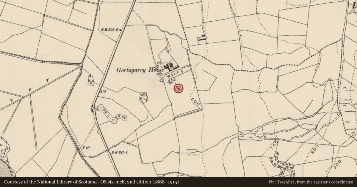 Ordnance Survey six-inch map, 2nd edition (1888–1915) covering the location of Designed landscape - tree-ring, Gortagarry, County Tipperary North, with a pin at the register's coordinates