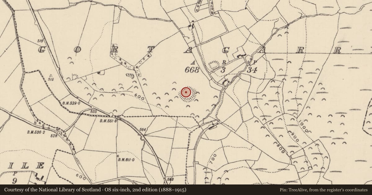 Ordnance Survey six-inch map, 2nd edition (1888–1915) covering the location of Ringfort - rath, Gortagarry, County Tipperary North, with a pin at the register's coordinates