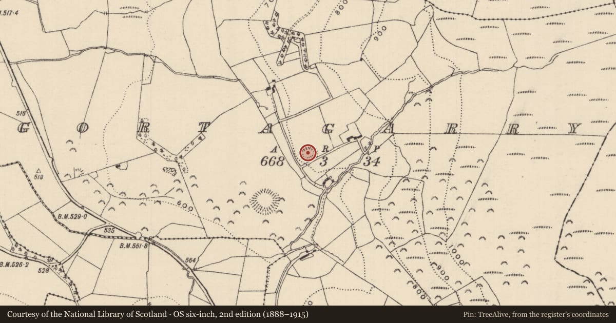 Ordnance Survey six-inch map, 2nd edition (1888–1915) covering the location of Ringfort - rath, Gortagarry, County Tipperary North, with a pin at the register's coordinates