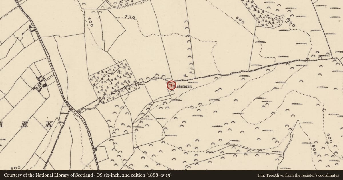 Ordnance Survey six-inch map, 2nd edition (1888–1915) covering the location of Ritual site - holy well, Glenmore Upper, County Tipperary North, with a pin at the register's coordinates