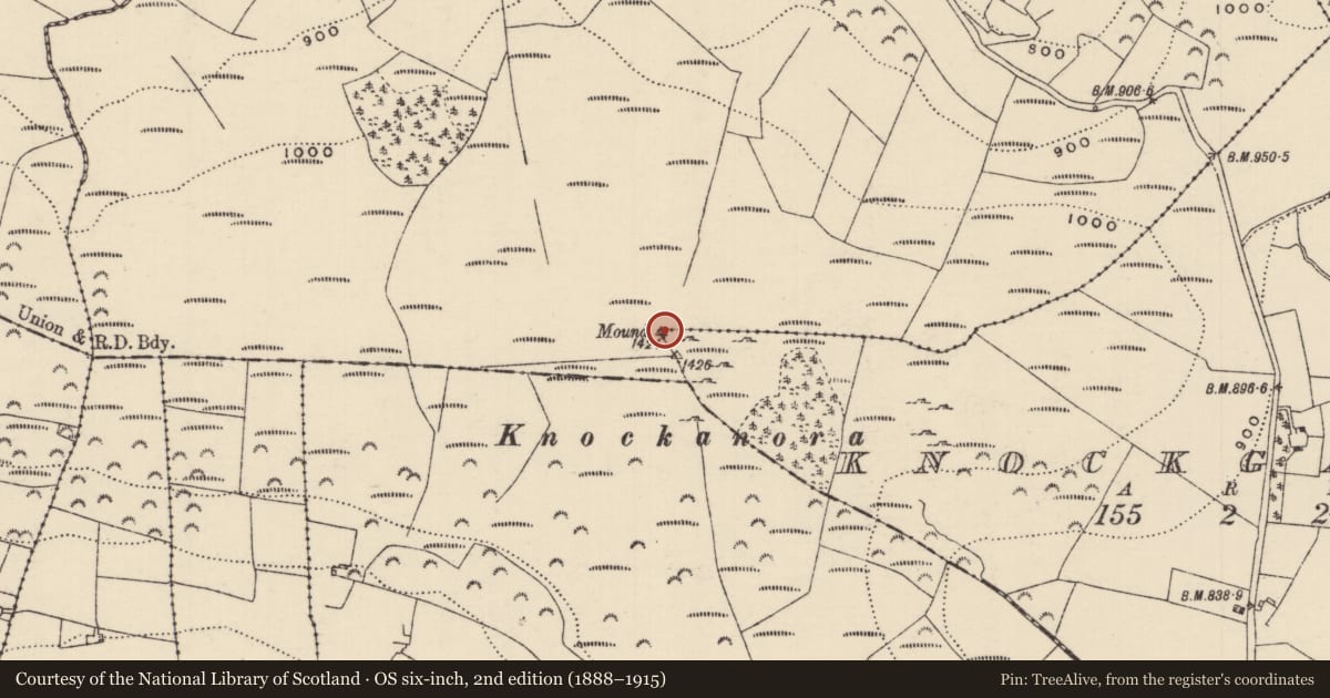 Ordnance Survey six-inch map, 2nd edition (1888–1915) covering the location of Mound, Glenaguile (Latteragh Par.), Knockgarve, County Tipperary North, with a pin at the register's coordinates