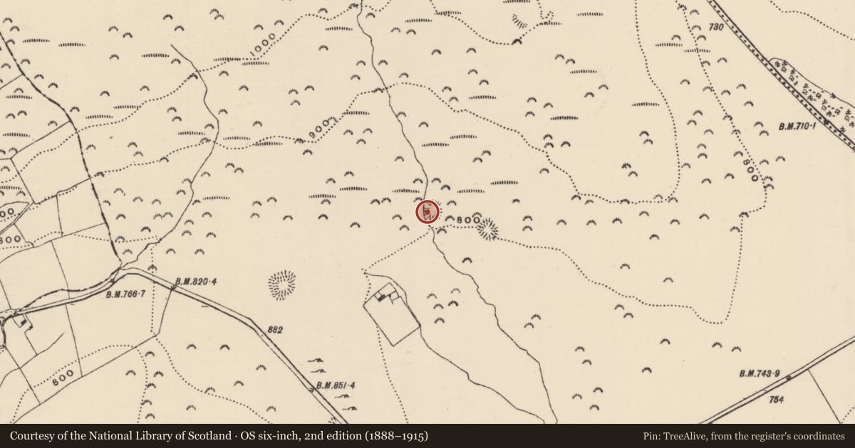 Ordnance Survey six-inch map, 2nd edition (1888–1915) covering the location of Ringfort - rath, Killoskehan, County Tipperary North, with a pin at the register's coordinates