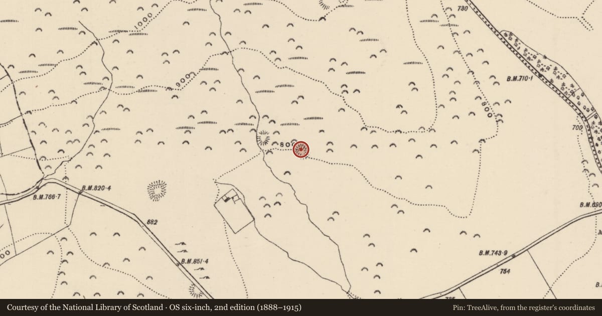 Ordnance Survey six-inch map, 2nd edition (1888–1915) covering the location of Ringfort - rath, Killoskehan, County Tipperary North, with a pin at the register's coordinates