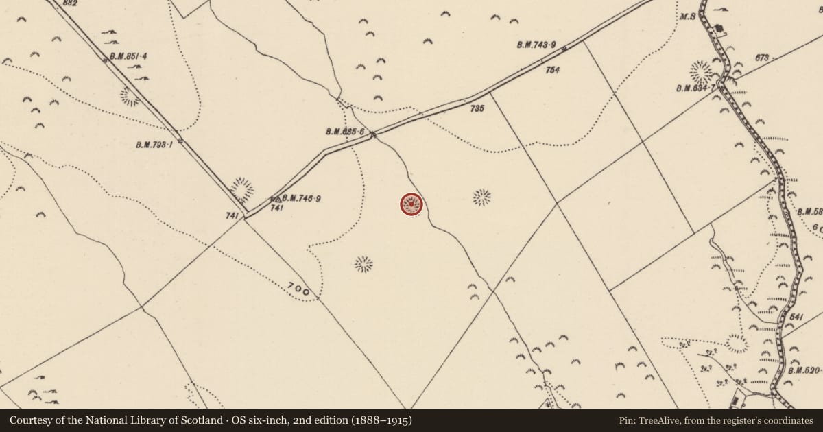 Ordnance Survey six-inch map, 2nd edition (1888–1915) covering the location of Ringfort - rath, Killoskehan, County Tipperary North, with a pin at the register's coordinates
