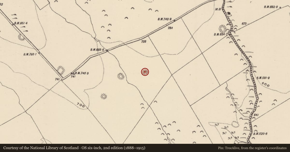 Ordnance Survey six-inch map, 2nd edition (1888–1915) covering the location of Ringfort - rath, Killoskehan, County Tipperary North, with a pin at the register's coordinates