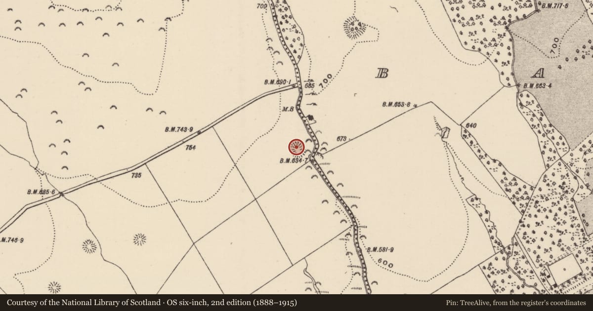 Ordnance Survey six-inch map, 2nd edition (1888–1915) covering the location of Ringfort - rath, Killoskehan, County Tipperary North, with a pin at the register's coordinates