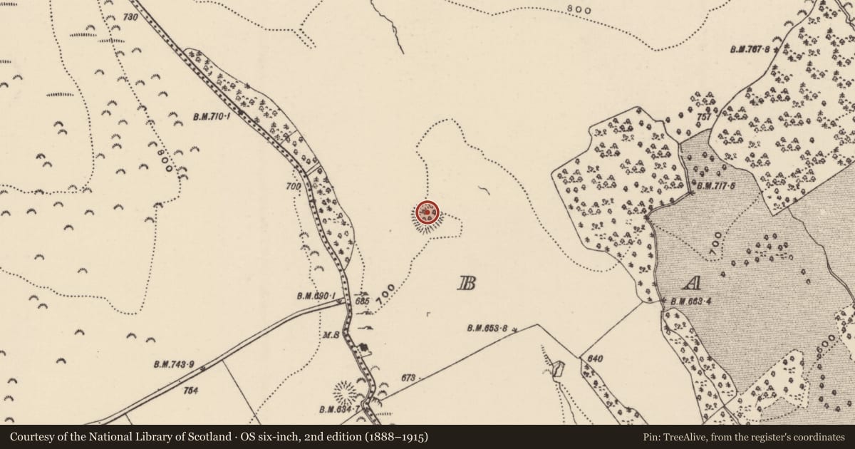 Ordnance Survey six-inch map, 2nd edition (1888–1915) covering the location of Ringfort - rath, Barnane (Barnane-ely Par.), County Tipperary North, with a pin at the register's coordinates
