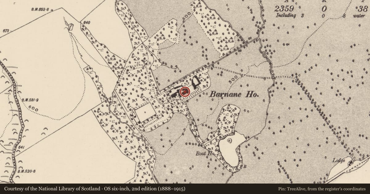 Ordnance Survey six-inch map, 2nd edition (1888–1915) covering the location of Castle - tower house, Barnane (Barnane-ely Par.), County Tipperary North, with a pin at the register's coordinates