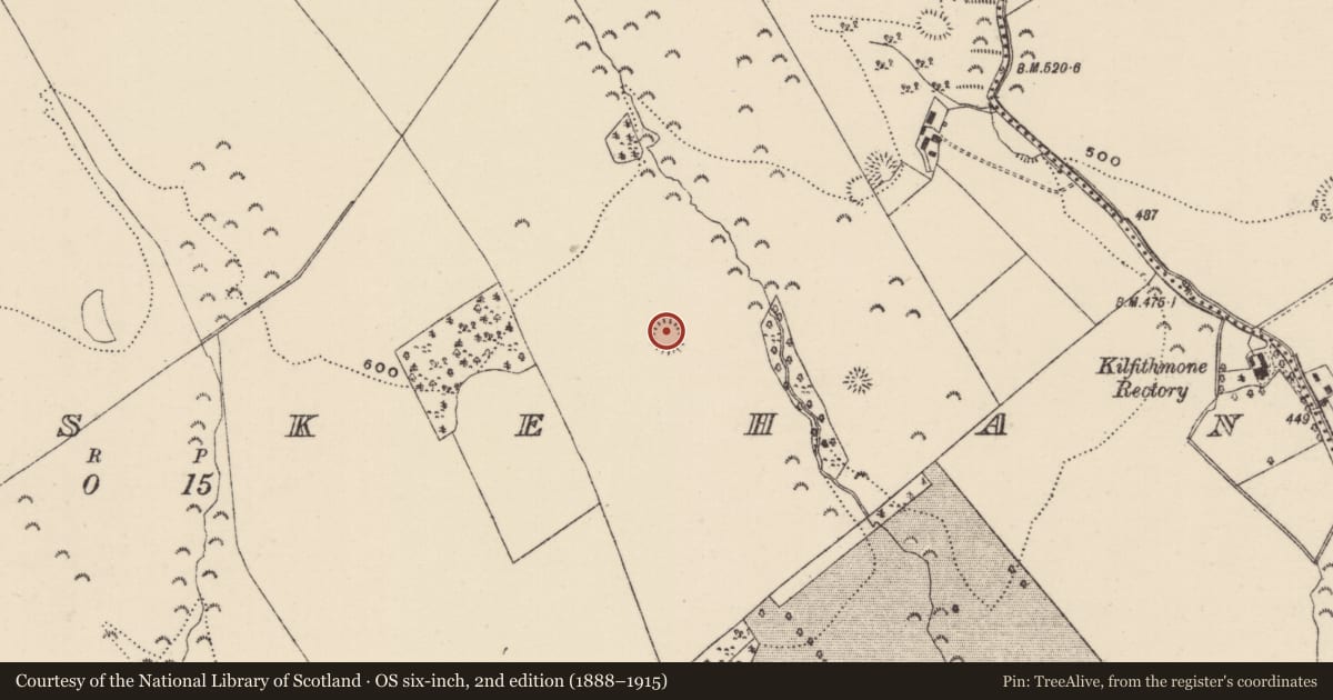 Ordnance Survey six-inch map, 2nd edition (1888–1915) covering the location of Ringfort - rath, Killoskehan, County Tipperary North, with a pin at the register's coordinates