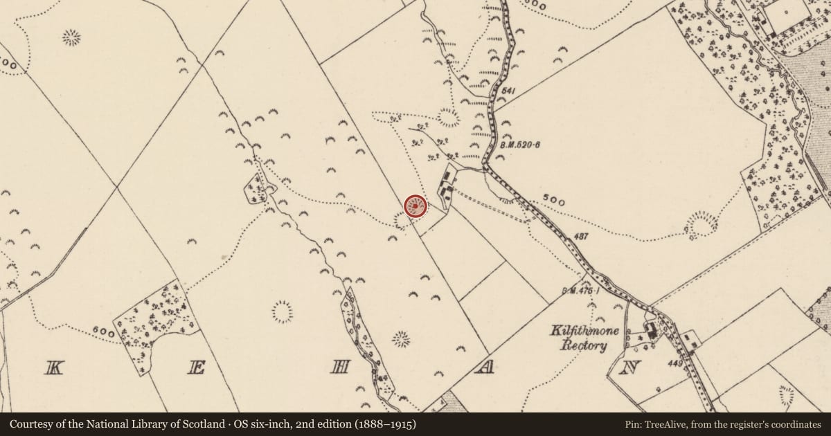 Ordnance Survey six-inch map, 2nd edition (1888–1915) covering the location of Ringfort - rath, Killoskehan, County Tipperary North, with a pin at the register's coordinates