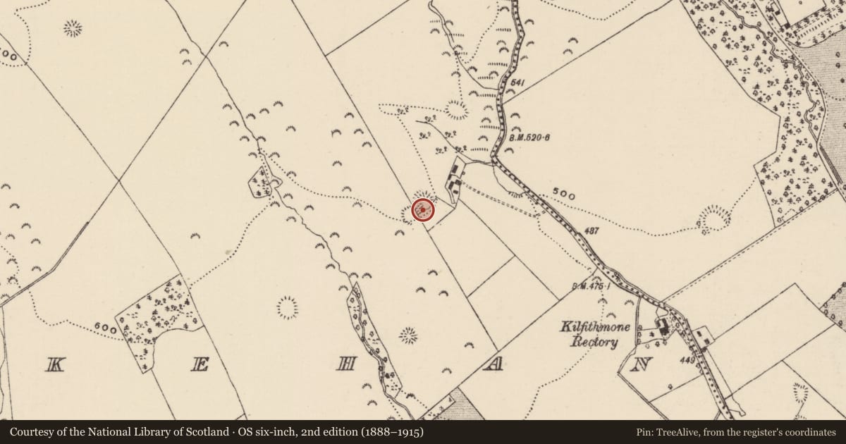 Ordnance Survey six-inch map, 2nd edition (1888–1915) covering the location of Earthwork, Killoskehan, County Tipperary North, with a pin at the register's coordinates