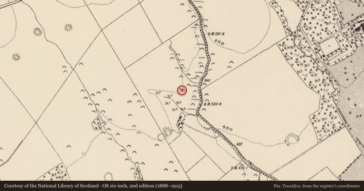 Ordnance Survey six-inch map, 2nd edition (1888–1915) covering the location of Ringfort - rath, Killoskehan, County Tipperary North, with a pin at the register's coordinates