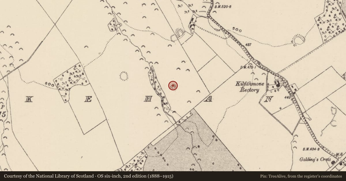 Ordnance Survey six-inch map, 2nd edition (1888–1915) covering the location of Ringfort - rath, Killoskehan, County Tipperary North, with a pin at the register's coordinates