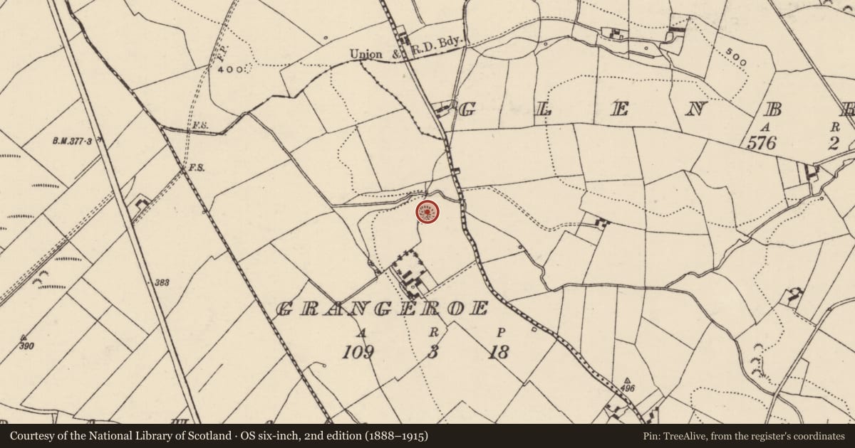 Ordnance Survey six-inch map, 2nd edition (1888–1915) covering the location of Ringfort - rath, Grangeroe, County Tipperary North, with a pin at the register's coordinates