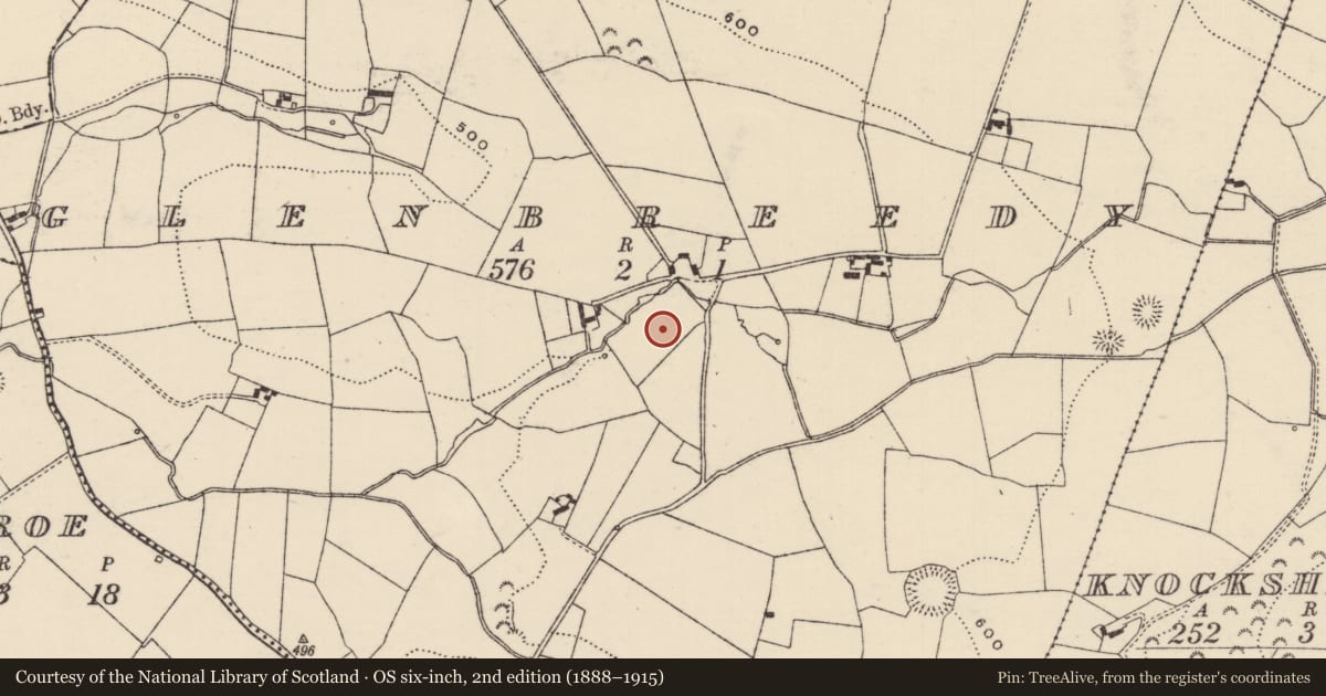 Ordnance Survey six-inch map, 2nd edition (1888–1915) covering the location of Enclosure, Glenbreedy, County Tipperary North, with a pin at the register's coordinates