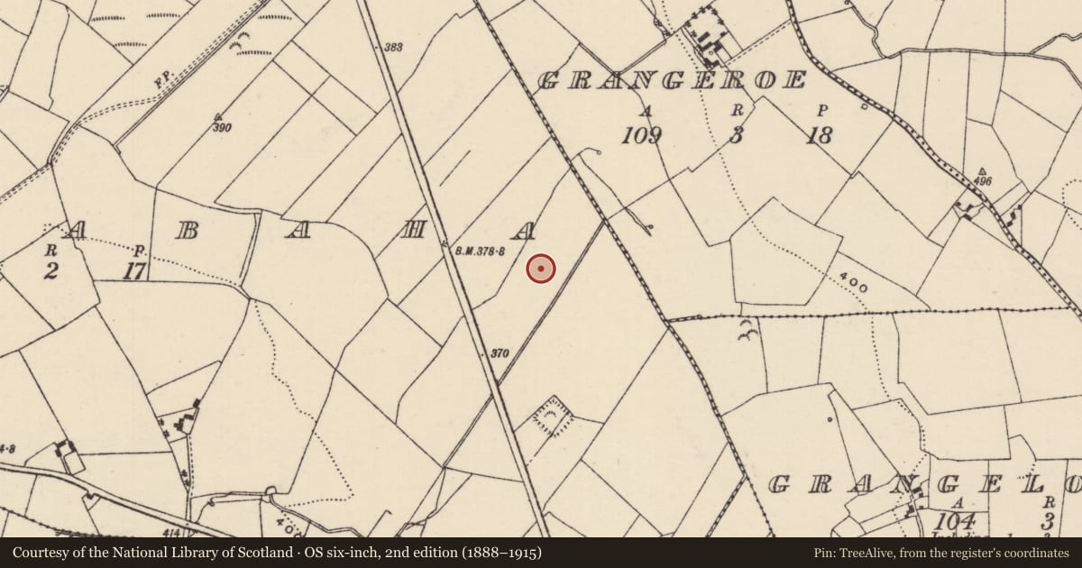 Ordnance Survey six-inch map, 2nd edition (1888–1915) covering the location of Earthwork, Currabaha, County Tipperary North, with a pin at the register's coordinates