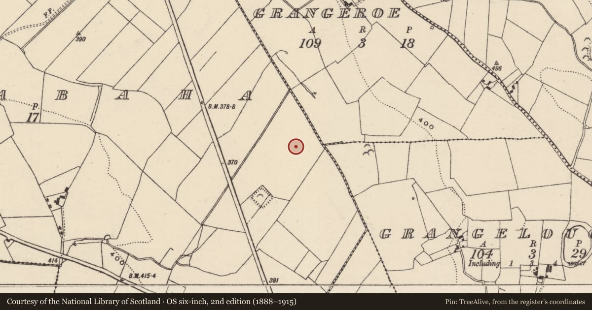 Ordnance Survey six-inch map, 2nd edition (1888–1915) covering the location of Moated site, Currabaha, County Tipperary North, with a pin at the register's coordinates