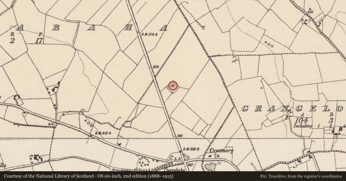 Ordnance Survey six-inch map, 2nd edition (1888–1915) covering the location of Moated site, Currabaha, County Tipperary North, with a pin at the register's coordinates