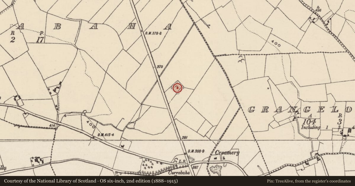Ordnance Survey six-inch map, 2nd edition (1888–1915) covering the location of House - indeterminate date, Currabaha, County Tipperary North, with a pin at the register's coordinates