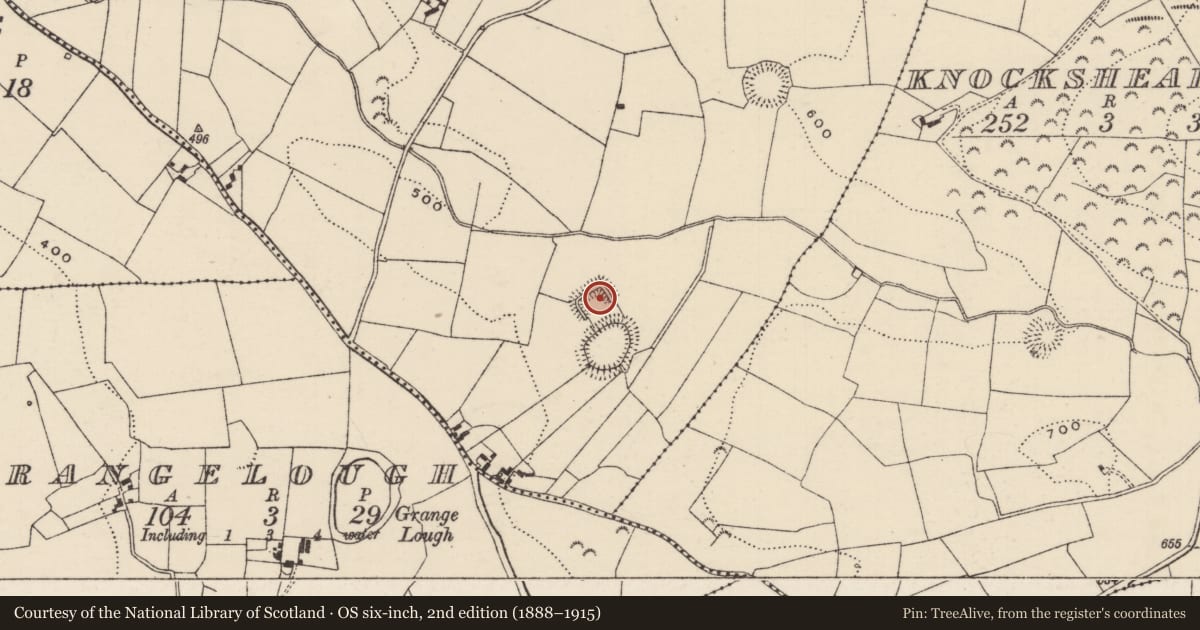 Ordnance Survey six-inch map, 2nd edition (1888–1915) covering the location of Moated site, Glenbreedy, County Tipperary North, with a pin at the register's coordinates