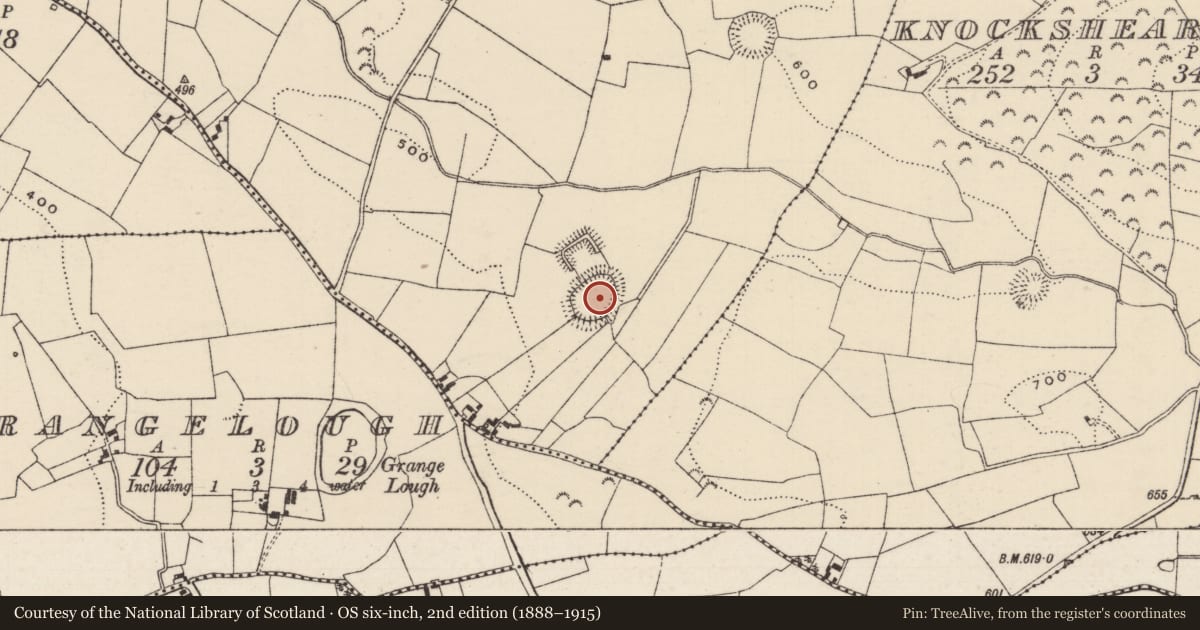 Ordnance Survey six-inch map, 2nd edition (1888–1915) covering the location of Ringfort - rath, Glenbreedy, County Tipperary North, with a pin at the register's coordinates