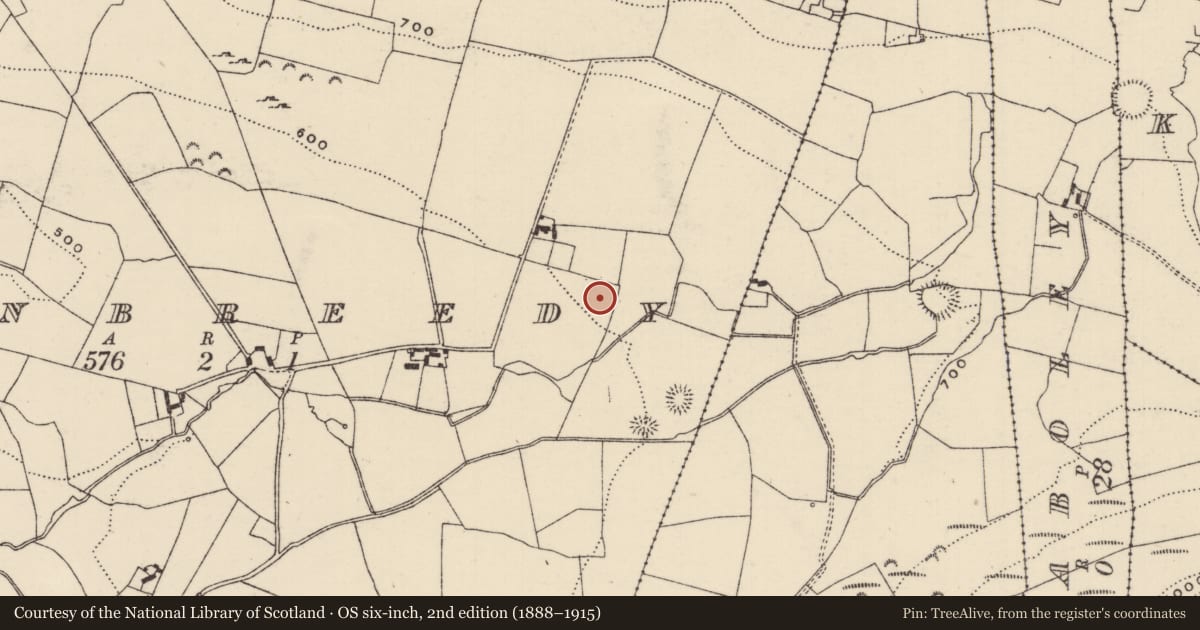 Ordnance Survey six-inch map, 2nd edition (1888–1915) covering the location of Ringfort - rath, Glenbreedy, County Tipperary North, with a pin at the register's coordinates