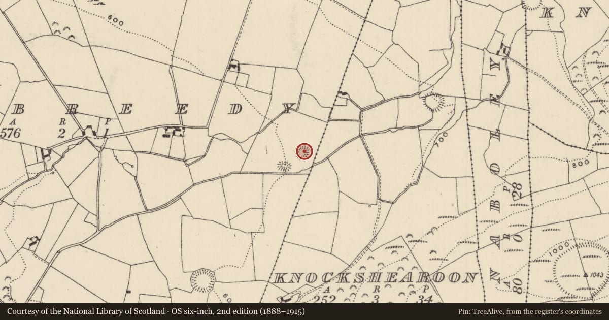 Ordnance Survey six-inch map, 2nd edition (1888–1915) covering the location of Moated site, Glenbreedy, County Tipperary North, with a pin at the register's coordinates