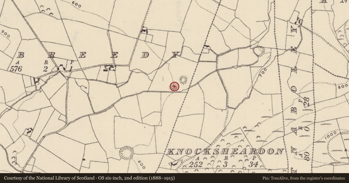 Ordnance Survey six-inch map, 2nd edition (1888–1915) covering the location of Ringfort - rath, Glenbreedy, County Tipperary North, with a pin at the register's coordinates