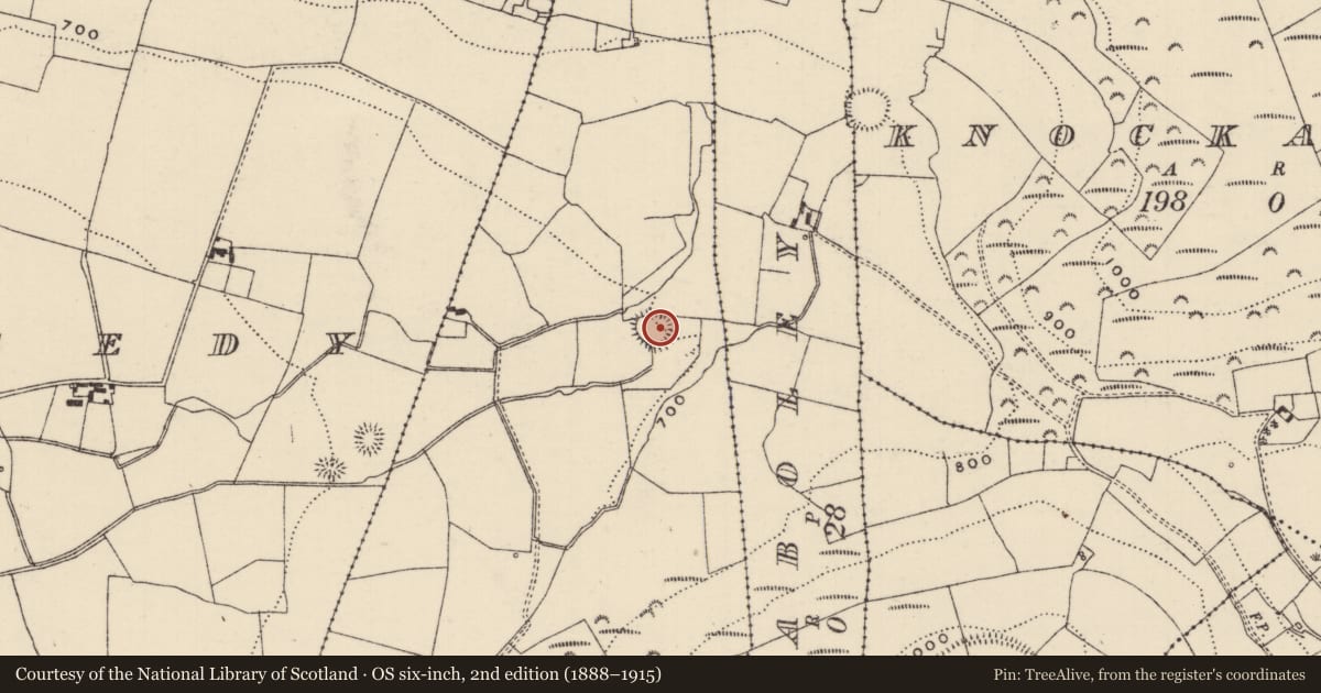 Ordnance Survey six-inch map, 2nd edition (1888–1915) covering the location of Ringfort - rath, Knockshearoon, County Tipperary North, with a pin at the register's coordinates