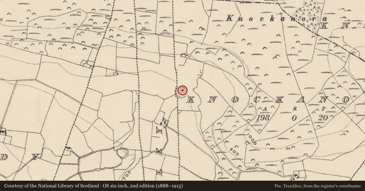 Ordnance Survey six-inch map, 2nd edition (1888–1915) covering the location of Ringfort - rath, Gortnaboley, Knockanora, County Tipperary North, with a pin at the register's coordinates