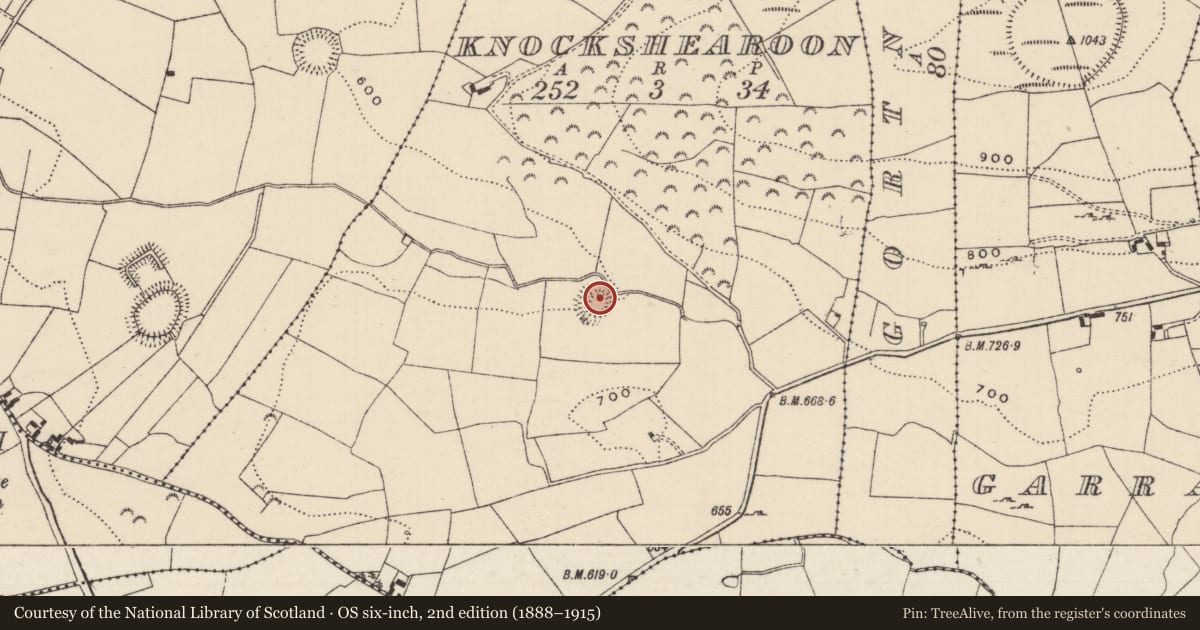Ordnance Survey six-inch map, 2nd edition (1888–1915) covering the location of Ringfort - rath, Knockshearoon, County Tipperary North, with a pin at the register's coordinates