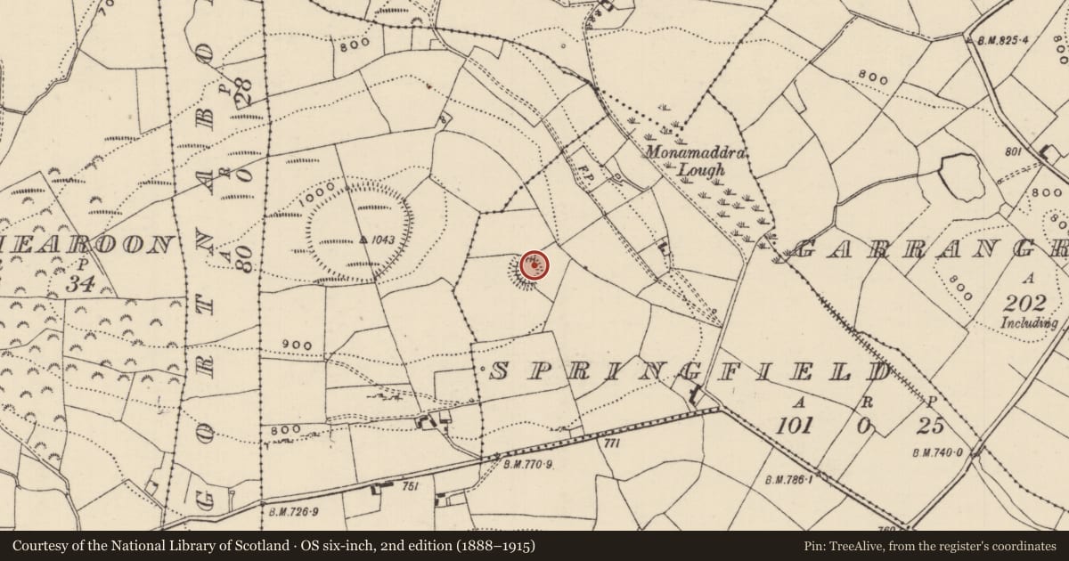 Ordnance Survey six-inch map, 2nd edition (1888–1915) covering the location of Ringfort - rath, Springfield (Glenkeen Par.), County Tipperary North, with a pin at the register's coordinates