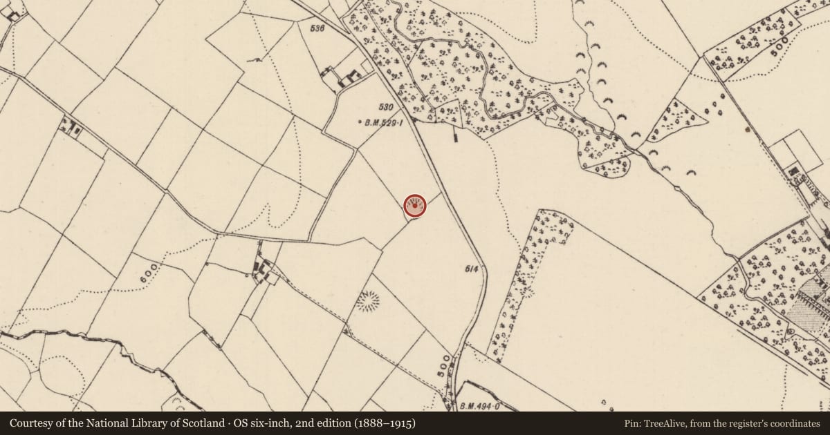 Ordnance Survey six-inch map, 2nd edition (1888–1915) covering the location of Ringfort - rath, Killoskehan, County Tipperary North, with a pin at the register's coordinates