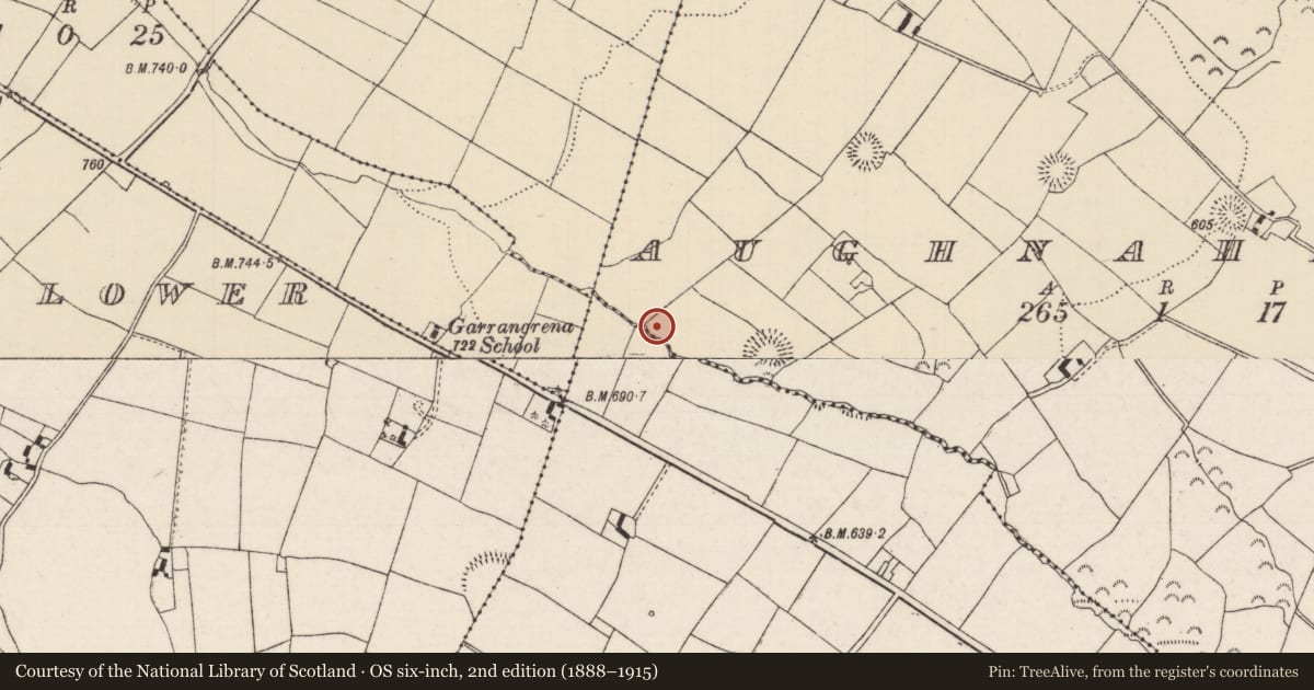 Ordnance Survey six-inch map, 2nd edition (1888–1915) covering the location of Fulacht fia, Aughnaheela, County Tipperary North, with a pin at the register's coordinates